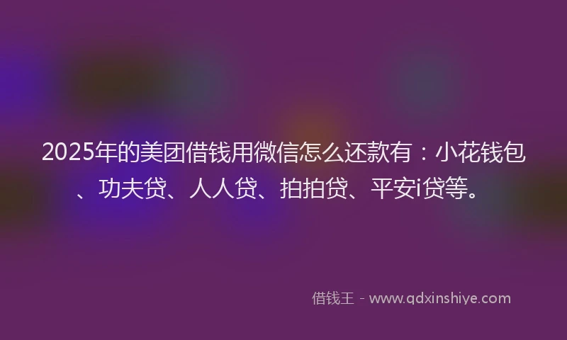 2025年的美团借钱用微信怎么还款有：小花钱包、功夫贷、人人贷、拍拍贷、平安i贷等。