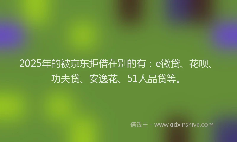 2025年的被京东拒借在别的有：e微贷、花呗、功夫贷、安逸花、51人品贷等。