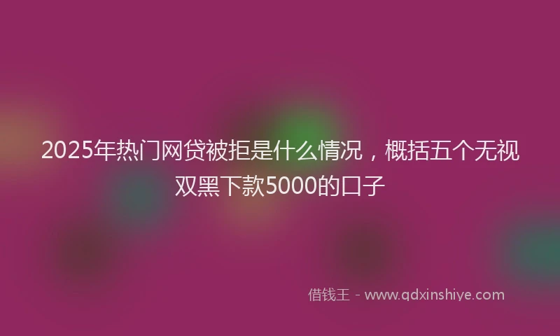 2025年热门网贷被拒是什么情况，概括五个无视双黑下款5000的口子