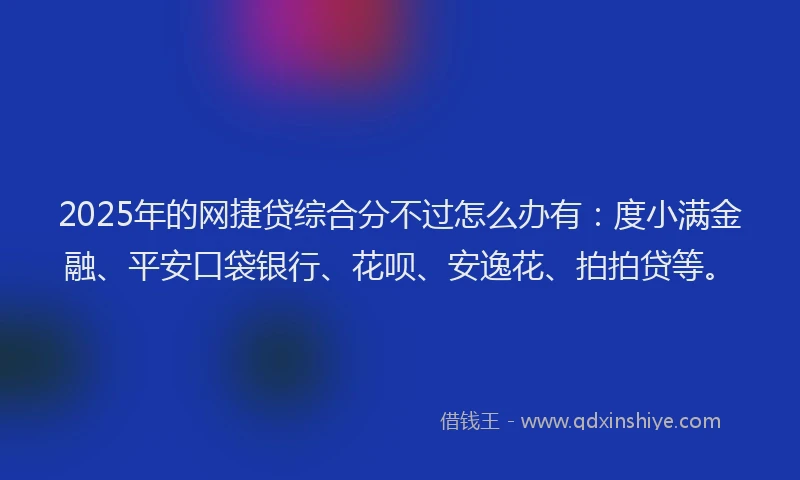 2025年的网捷贷综合分不过怎么办有：度小满金融、平安口袋银行、花呗、安逸花、拍拍贷等。