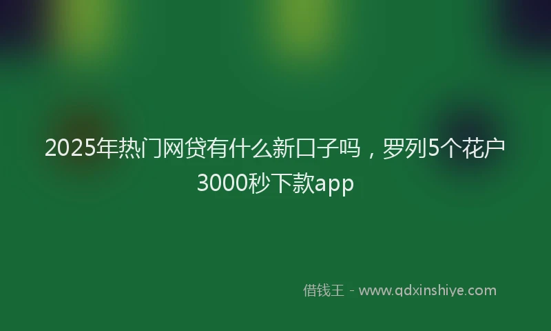 2025年热门网贷有什么新口子吗，罗列5个花户3000秒下款app