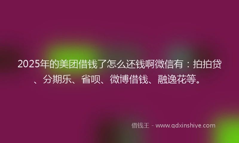 2025年的美团借钱了怎么还钱啊微信有：拍拍贷、分期乐、省呗、微博借钱、融逸花等。