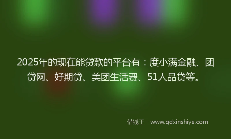 2025年的现在能贷款的平台有：度小满金融、团贷网、好期贷、美团生活费、51人品贷等。