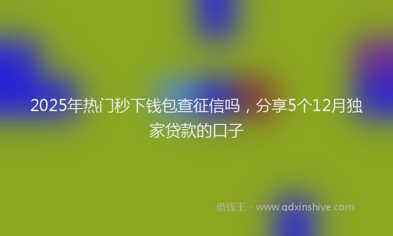 2025年热门秒下钱包查征信吗，分享5个12月独家贷款的口子