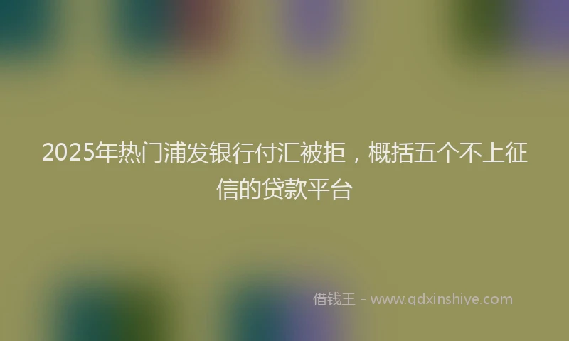 2025年热门浦发银行付汇被拒，概括五个不上征信的贷款平台