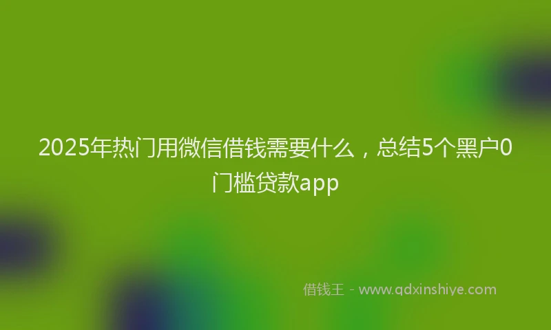 2025年热门用微信借钱需要什么，总结5个黑户0门槛贷款app