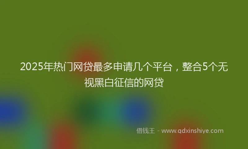 2025年热门网贷最多申请几个平台，整合5个无视黑白征信的网贷