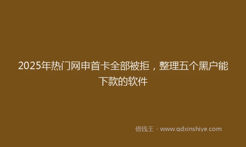 2025年热门网申首卡全部被拒，整理五个黑户能下款的软件