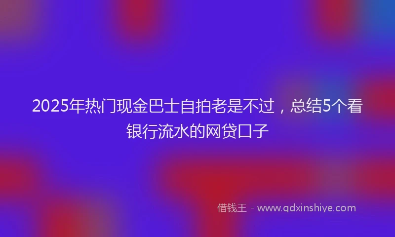 2025年热门现金巴士自拍老是不过，总结5个看银行流水的网贷口子