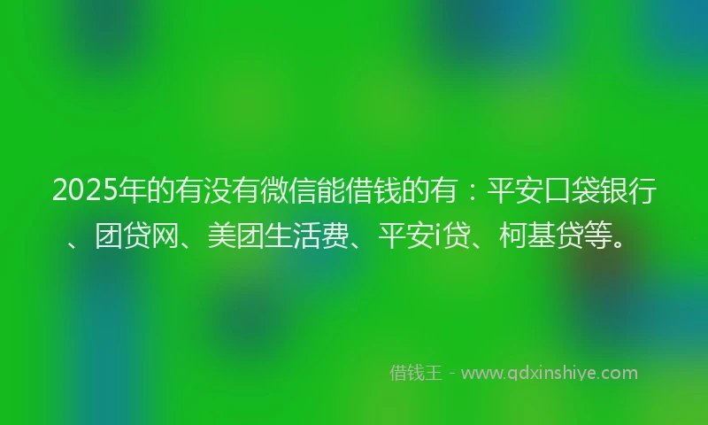 2025年的有没有微信能借钱的有：平安口袋银行、团贷网、美团生活费、平安i贷、柯基贷等。