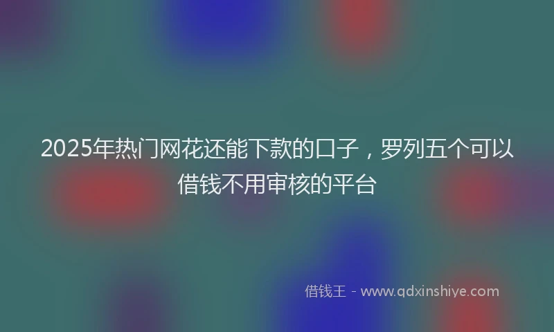2025年热门网花还能下款的口子，罗列五个可以借钱不用审核的平台