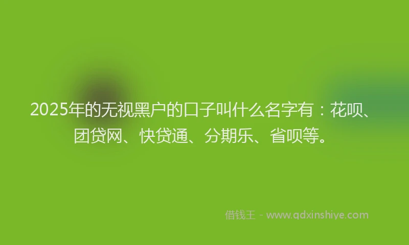 2025年的无视黑户的口子叫什么名字有：花呗、团贷网、快贷通、分期乐、省呗等。