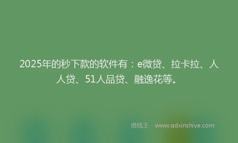 2025年的秒下款的软件有：e微贷、拉卡拉、人人贷、51人品贷、融逸花等。