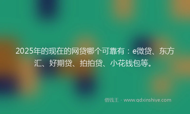 2025年的现在的网贷哪个可靠有：e微贷、东方汇、好期贷、拍拍贷、小花钱包等。