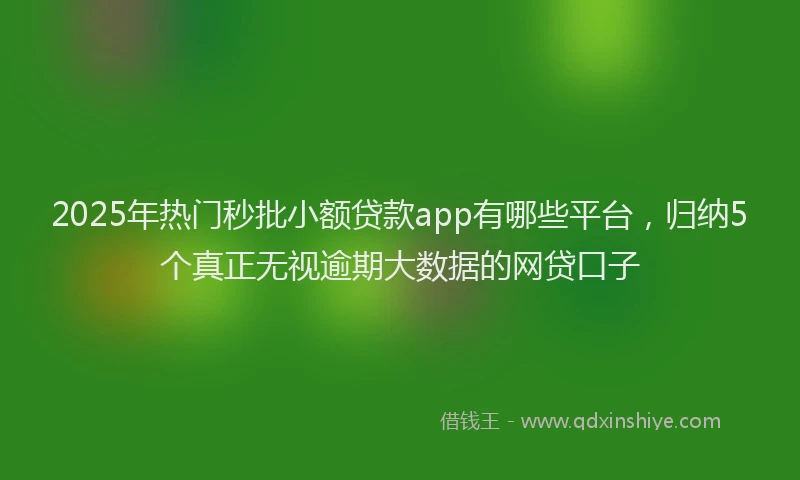 2025年热门秒批小额贷款app有哪些平台，归纳5个真正无视逾期大数据的网贷口子