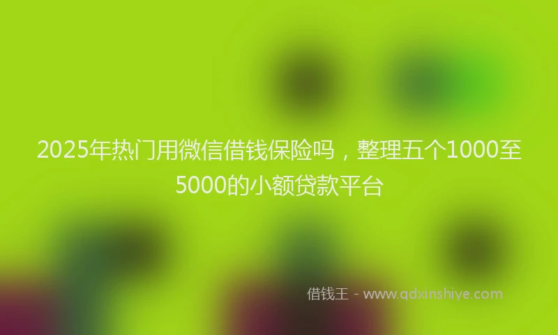 2025年热门用微信借钱保险吗，整理五个1000至5000的小额贷款平台