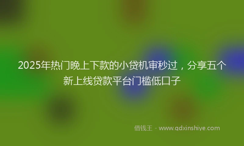 2025年热门晚上下款的小贷机审秒过，分享五个新上线贷款平台门槛低口子