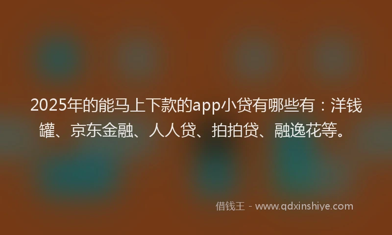 2025年的能马上下款的app小贷有哪些有：洋钱罐、京东金融、人人贷、拍拍贷、融逸花等。
