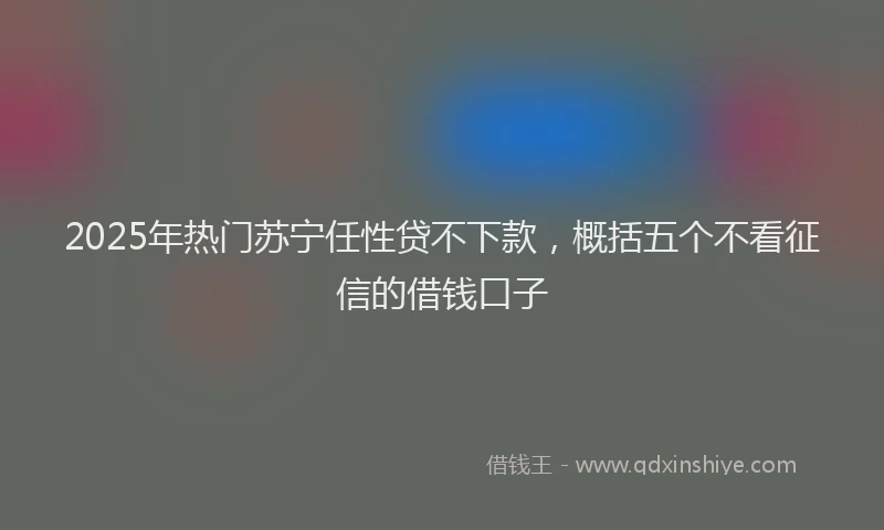2025年热门苏宁任性贷不下款，概括五个不看征信的借钱口子