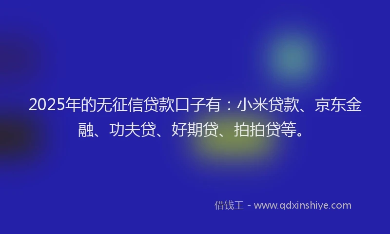 2025年的无征信贷款口子有：小米贷款、京东金融、功夫贷、好期贷、拍拍贷等。