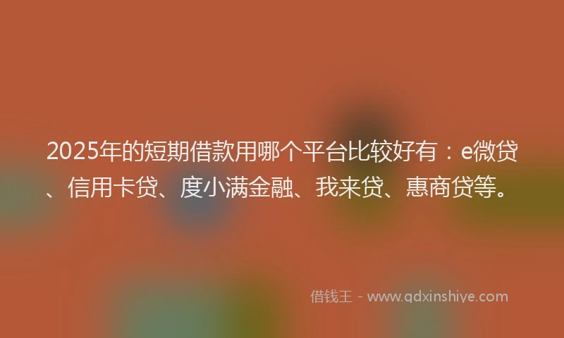 2025年的短期借款用哪个平台比较好有：e微贷、信用卡贷、度小满金融、我来贷、惠商贷等。