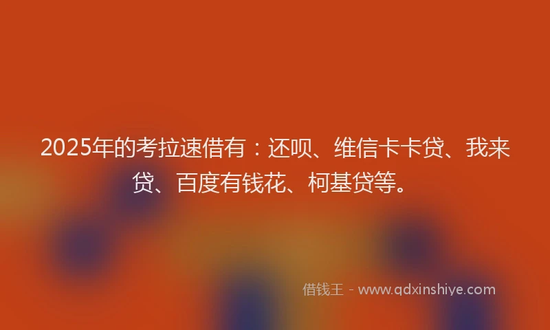2025年的考拉速借有：还呗、维信卡卡贷、我来贷、百度有钱花、柯基贷等。