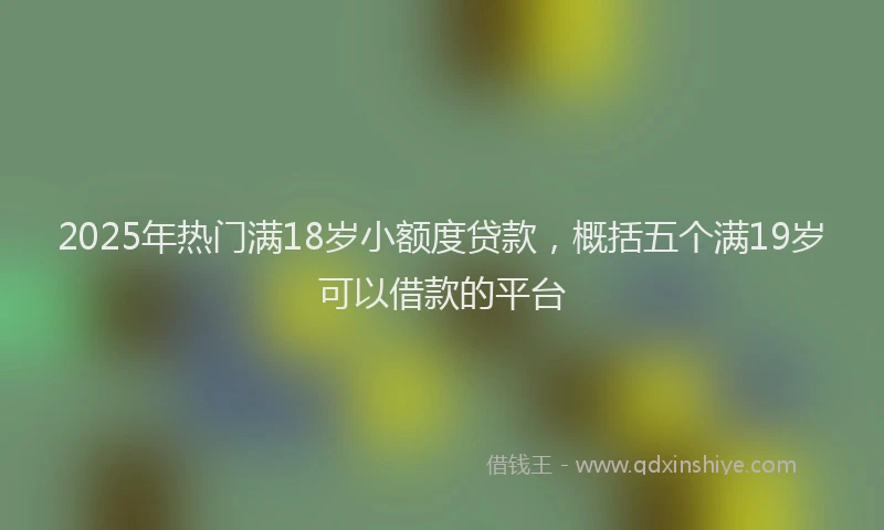 2025年热门满18岁小额度贷款，概括五个满19岁可以借款的平台