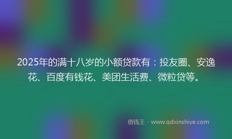 2025年的满十八岁的小额贷款有：投友圈、安逸花、百度有钱花、美团生活费、微粒贷等。