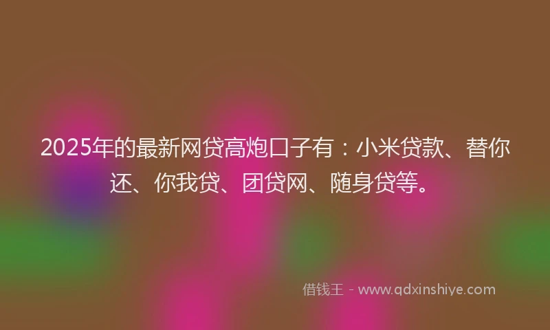 2025年的最新网贷高炮口子有：小米贷款、替你还、你我贷、团贷网、随身贷等。