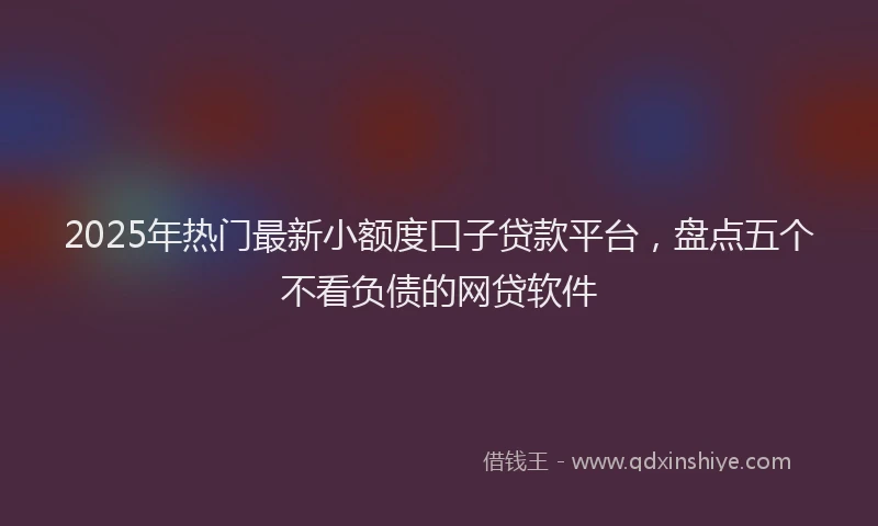 2025年热门最新小额度口子贷款平台，盘点五个不看负债的网贷软件