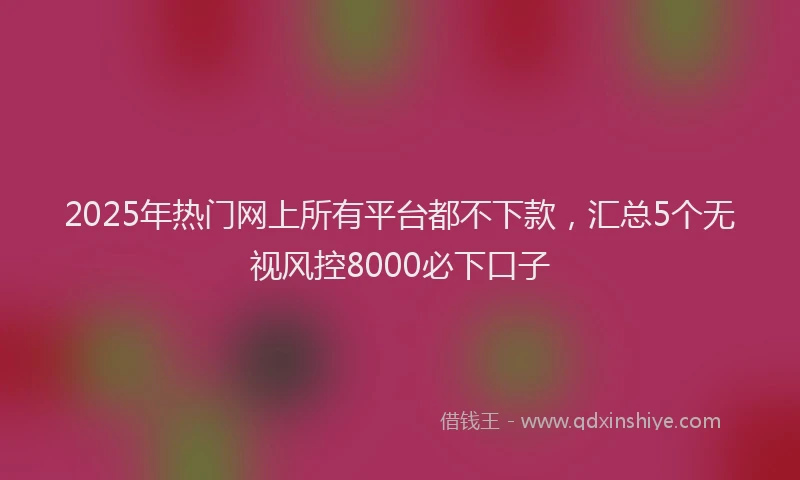 2025年热门网上所有平台都不下款，汇总5个无视风控8000必下口子
