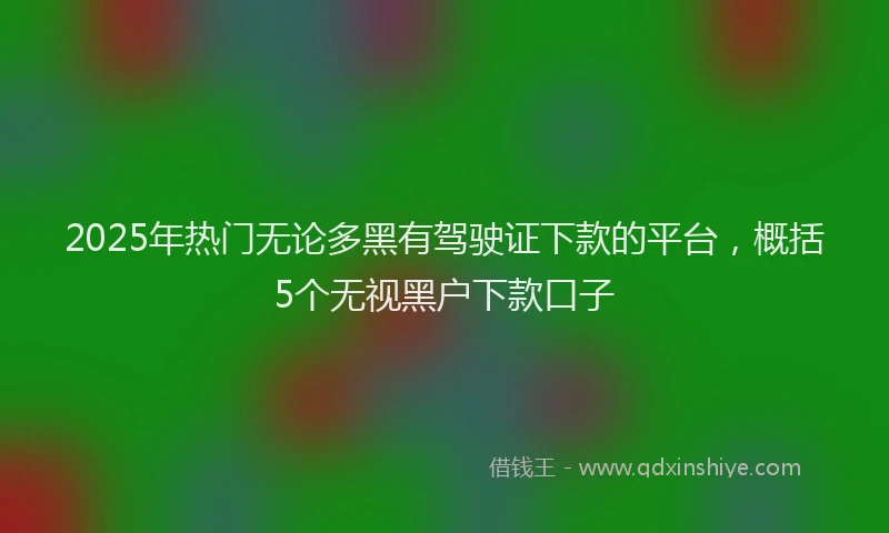 2025年热门无论多黑有驾驶证下款的平台，概括5个无视黑户下款口子