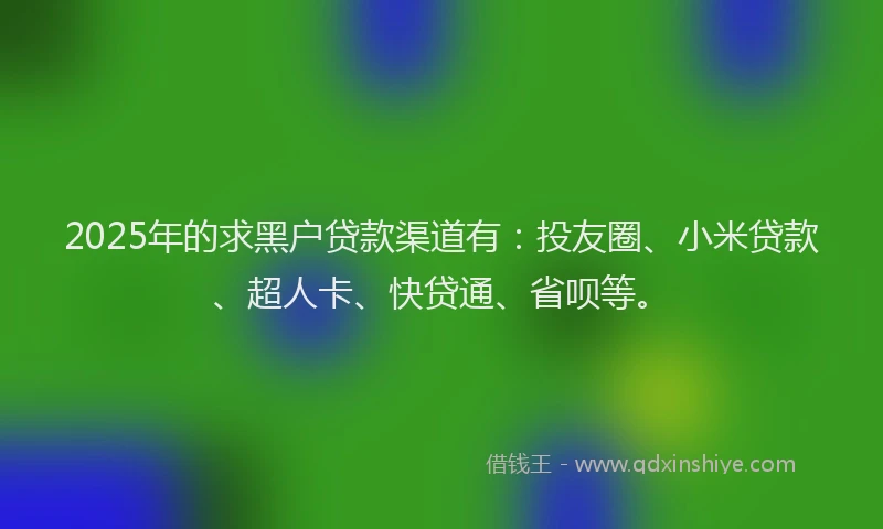 2025年的求黑户贷款渠道有：投友圈、小米贷款、超人卡、快贷通、省呗等。