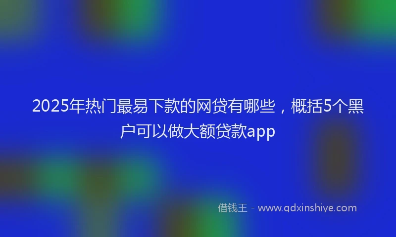2025年热门最易下款的网贷有哪些，概括5个黑户可以做大额贷款app
