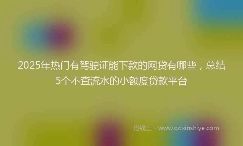 2025年热门有驾驶证能下款的网贷有哪些，总结5个不查流水的小额度贷款平台