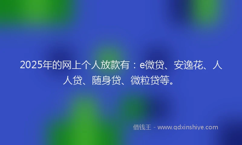 2025年的网上个人放款有：e微贷、安逸花、人人贷、随身贷、微粒贷等。