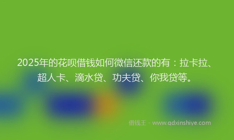 2025年的花呗借钱如何微信还款的有：拉卡拉、超人卡、滴水贷、功夫贷、你我贷等。