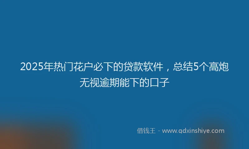 2025年热门花户必下的贷款软件，总结5个高炮无视逾期能下的口子