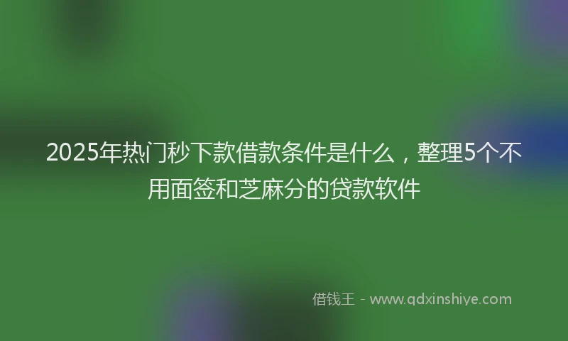 2025年热门秒下款借款条件是什么，整理5个不用面签和芝麻分的贷款软件