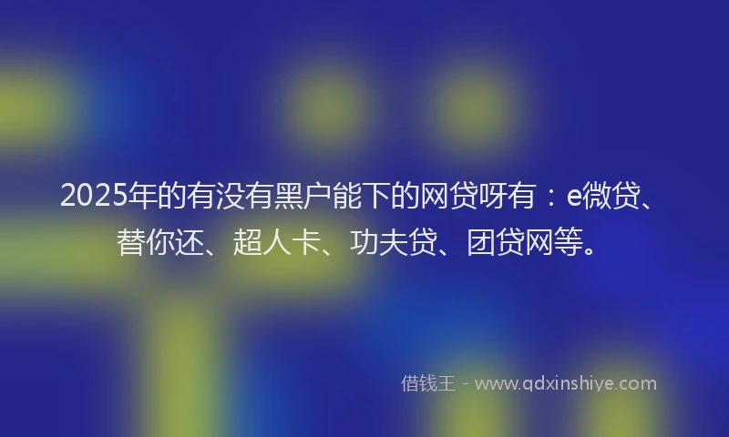 2025年的有没有黑户能下的网贷呀有：e微贷、替你还、超人卡、功夫贷、团贷网等。