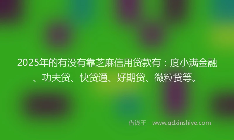 2025年的有没有靠芝麻信用贷款有：度小满金融、功夫贷、快贷通、好期贷、微粒贷等。