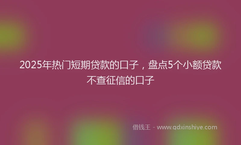 2025年热门短期贷款的口子，盘点5个小额贷款不查征信的口子