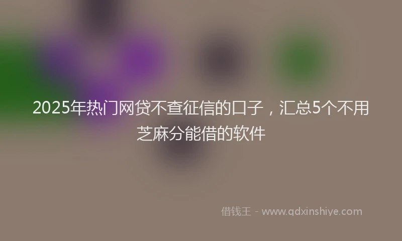 2025年热门网贷不查征信的口子，汇总5个不用芝麻分能借的软件