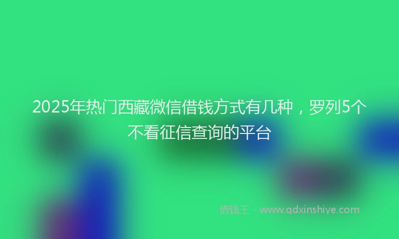 2025年热门西藏微信借钱方式有几种，罗列5个不看征信查询的平台