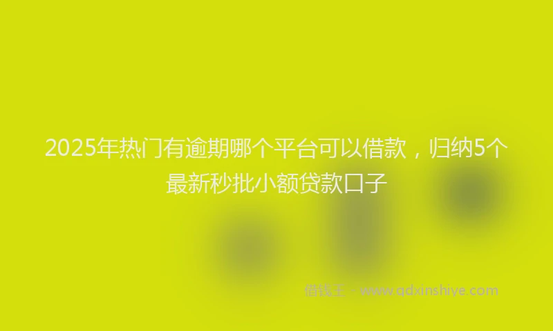 2025年热门有逾期哪个平台可以借款，归纳5个最新秒批小额贷款口子