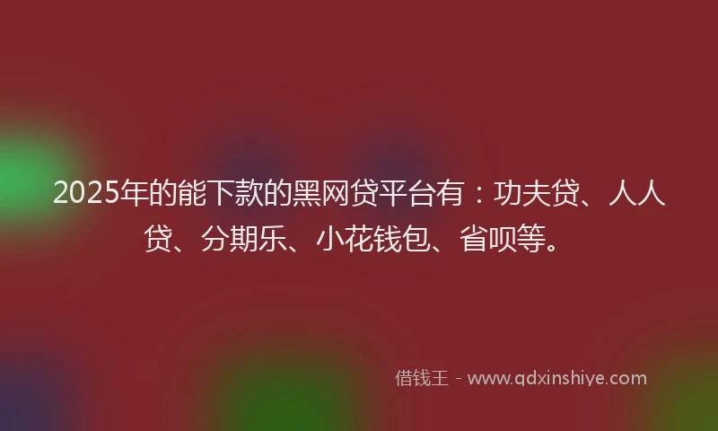 2025年的能下款的黑网贷平台有：功夫贷、人人贷、分期乐、小花钱包、省呗等。