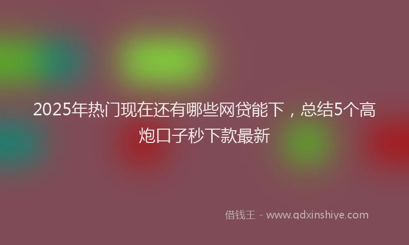 2025年热门现在还有哪些网贷能下，总结5个高炮口子秒下款最新