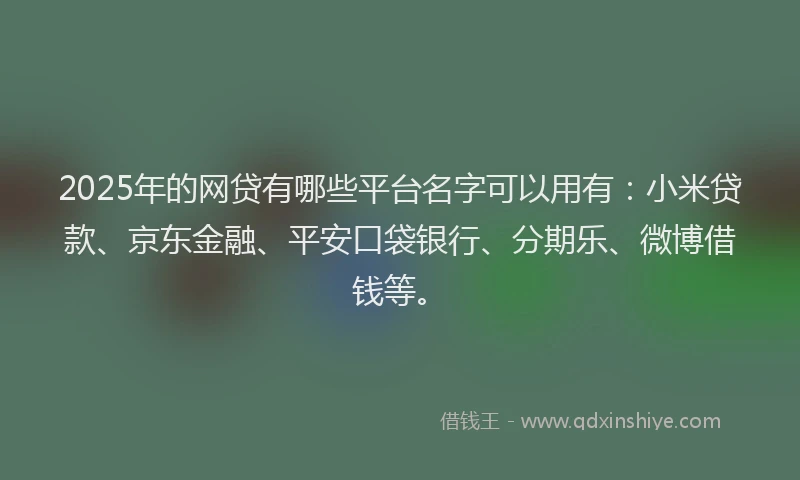 2025年的网贷有哪些平台名字可以用有：小米贷款、京东金融、平安口袋银行、分期乐、微博借钱等。