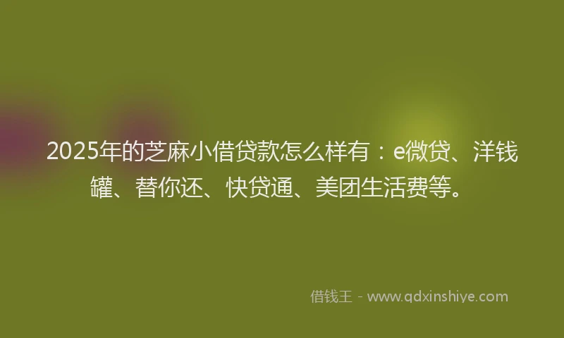 2025年的芝麻小借贷款怎么样有：e微贷、洋钱罐、替你还、快贷通、美团生活费等。