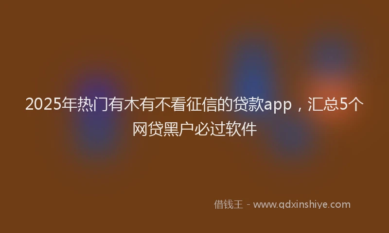 2025年热门有木有不看征信的贷款app，汇总5个网贷黑户必过软件